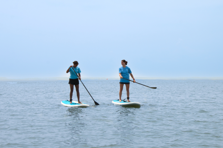 two people paddleboarding
