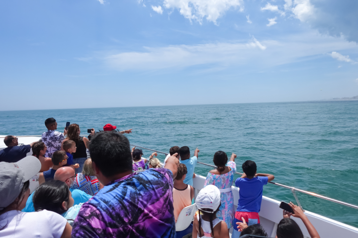 People on a boat pointing towards the ocean on a sunny day.
