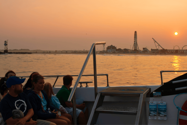 People on a boat at sunset, with a distant amusement park skyline.