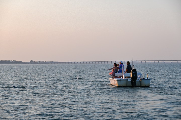 a man riding on the back of a boat in a body of water