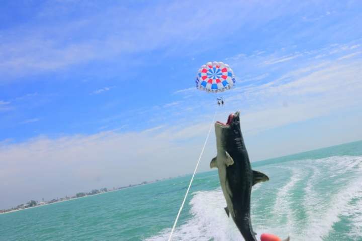 Person parasailing over ocean with open-mouthed fish in foreground.
