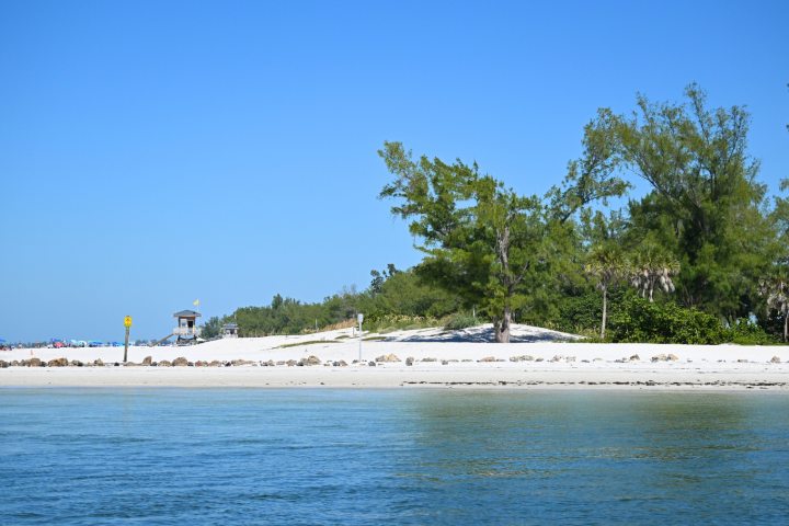 Scenic beach with white sand, tropical trees, and a lifeguard tower under clear blue sky.