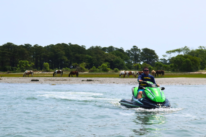 Person on green jet ski in water near shore with horses and trees.