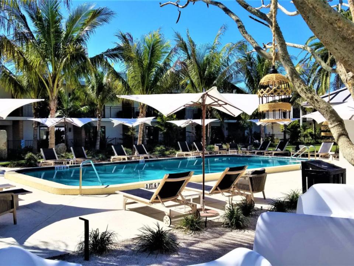 a group of lawn chairs sitting on top of a tree