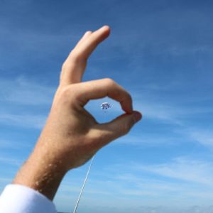 a hand holding a frisbee