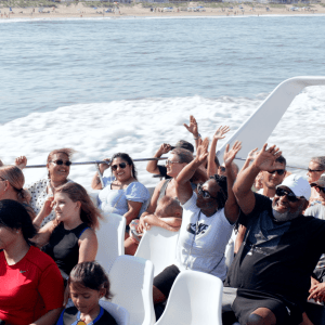 a group of people sitting at a beach