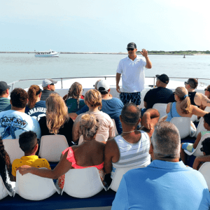 a group of people in the water