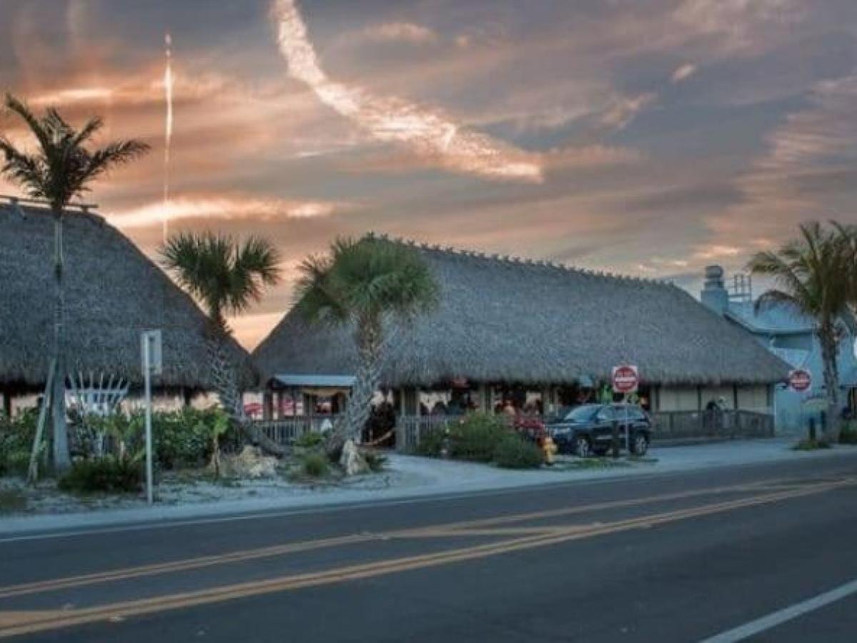 a palm tree in front of a house