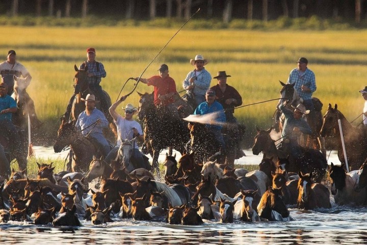 a group of people riding on the back of a horse