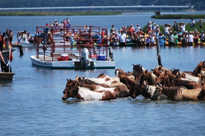 a group of people on a boat in a large body of water