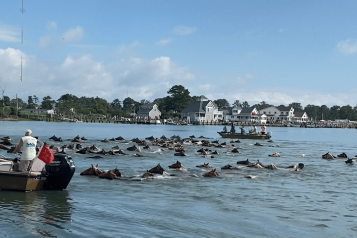 a group of people in a boat on a body of water