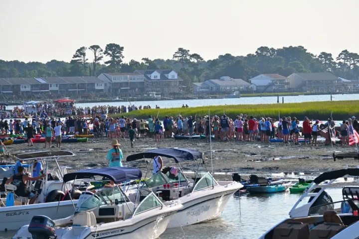 Crowd gathered on marshy shore with boats in foreground, houses in background.