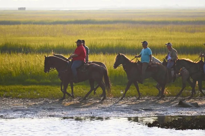 Four people on horseback riding along a grassy field by water.