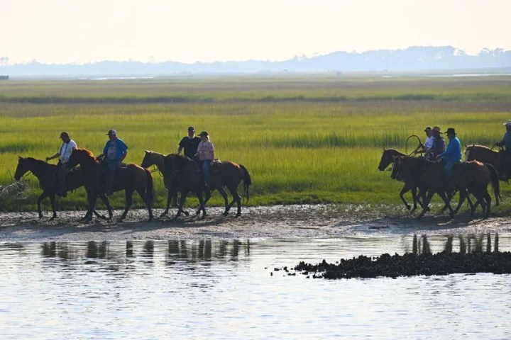 Group horseback riding along a grassy lakeshore.