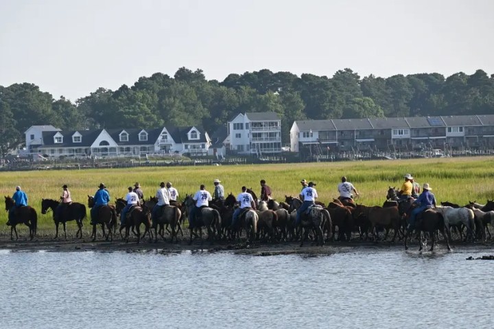 Group of people on horses near water with houses in the background.
