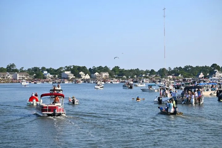 Numerous boats on a crowded lake with people and houses along the shoreline.
