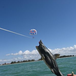 a group of people flying kites in a body of water