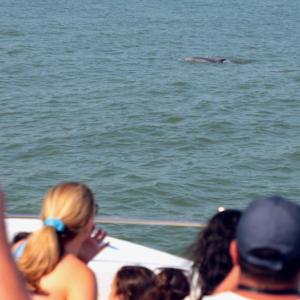 a group of people standing next to a body of water