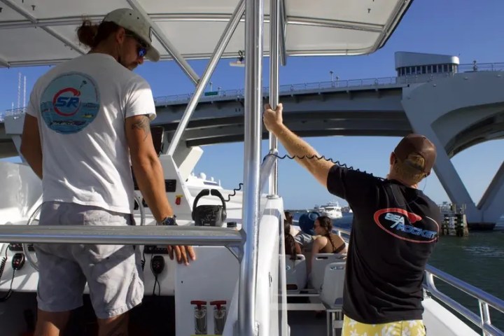 People on a boat under a bridge on a sunny day.