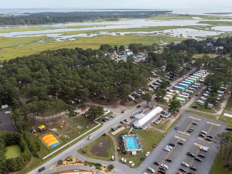 a flock of sheep in a field