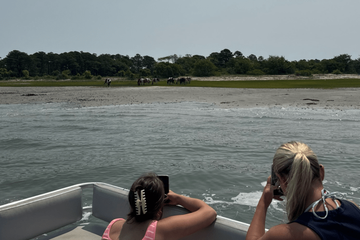 Two people on a boat photographing wild horses on a beach.