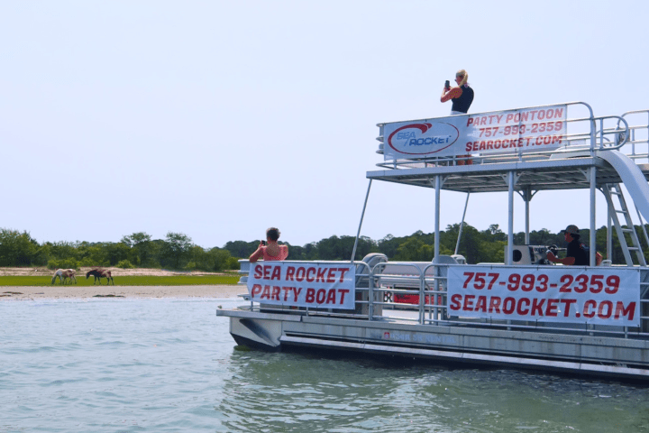 A party pontoon boat on water near a shore with wild horses.