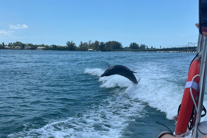 a man standing next to a body of water