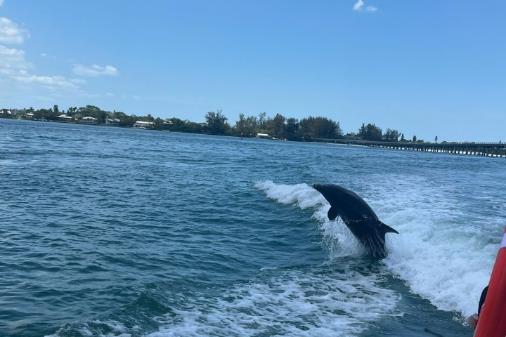 a small boat in a body of water