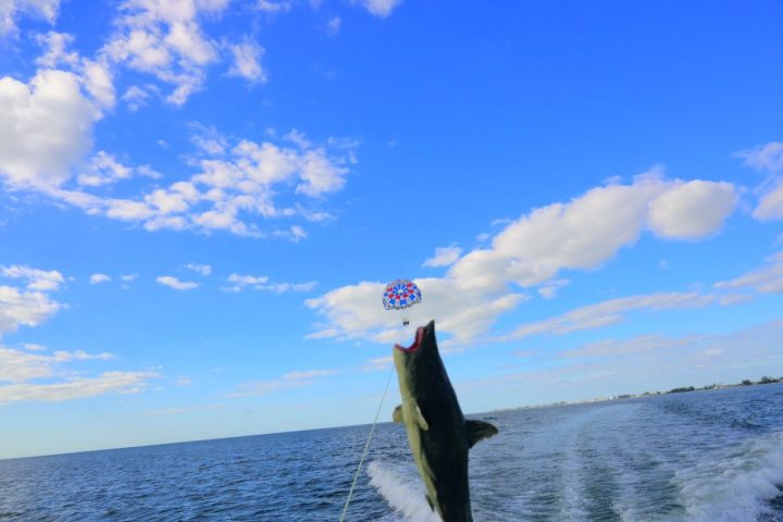 a man flying through the air over a body of water