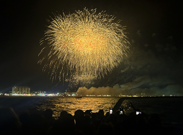 fireworks in the sky