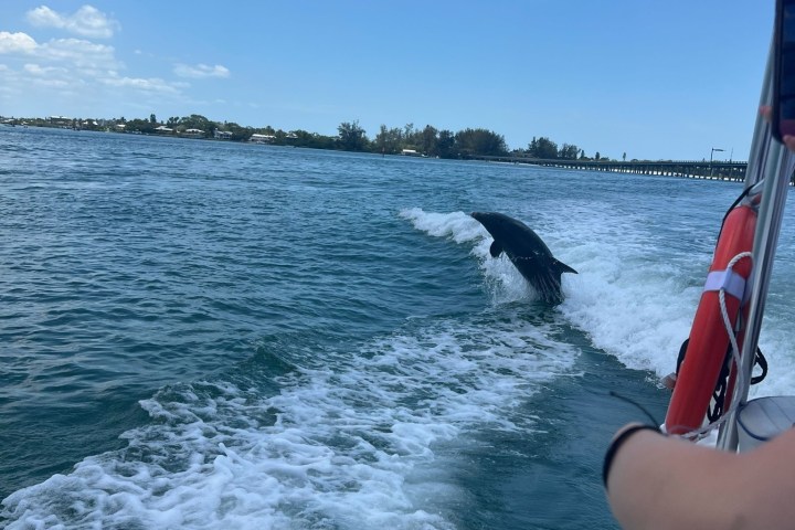 a man standing next to a body of water