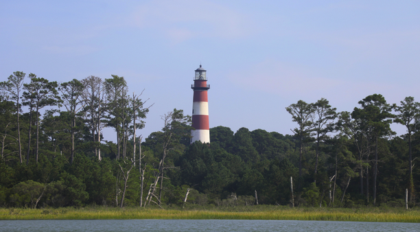 a large body of water surrounded by trees
