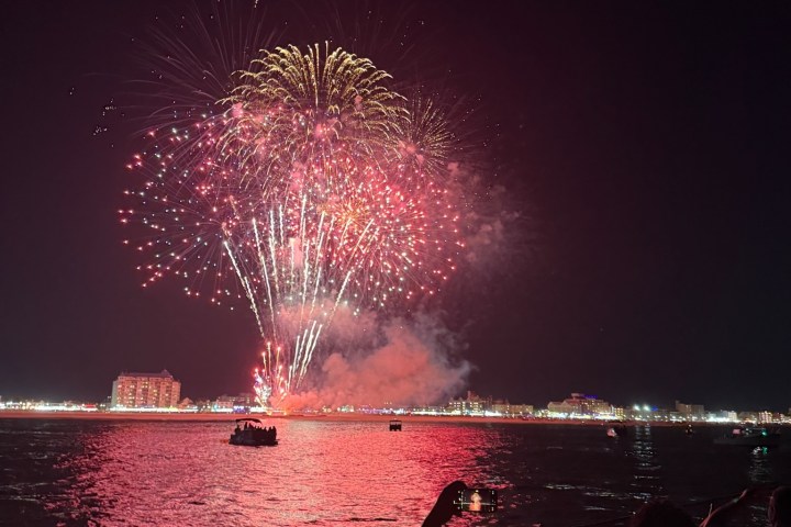 fireworks in the night sky
