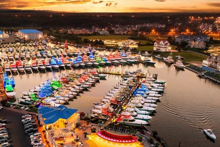 a harbor filled with boats