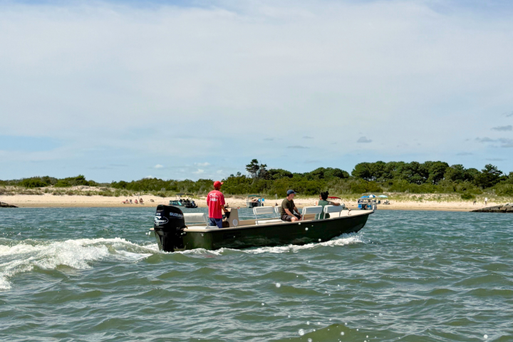 People on a motorboat near a sandy beach with trees.