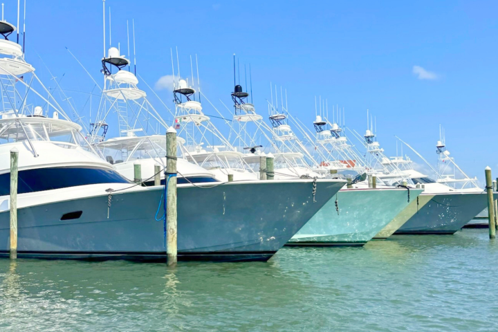 Several yachts docked in a marina under a clear blue sky.