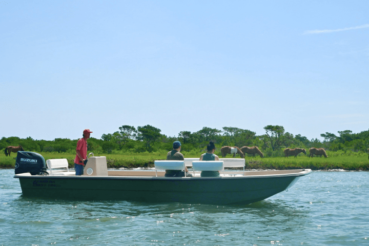 Small boat with three people on water, wild horses grazing on grassy shore.