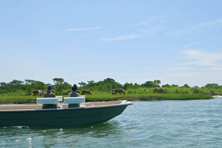 Two boats on water near grassy land with wild horses grazing.