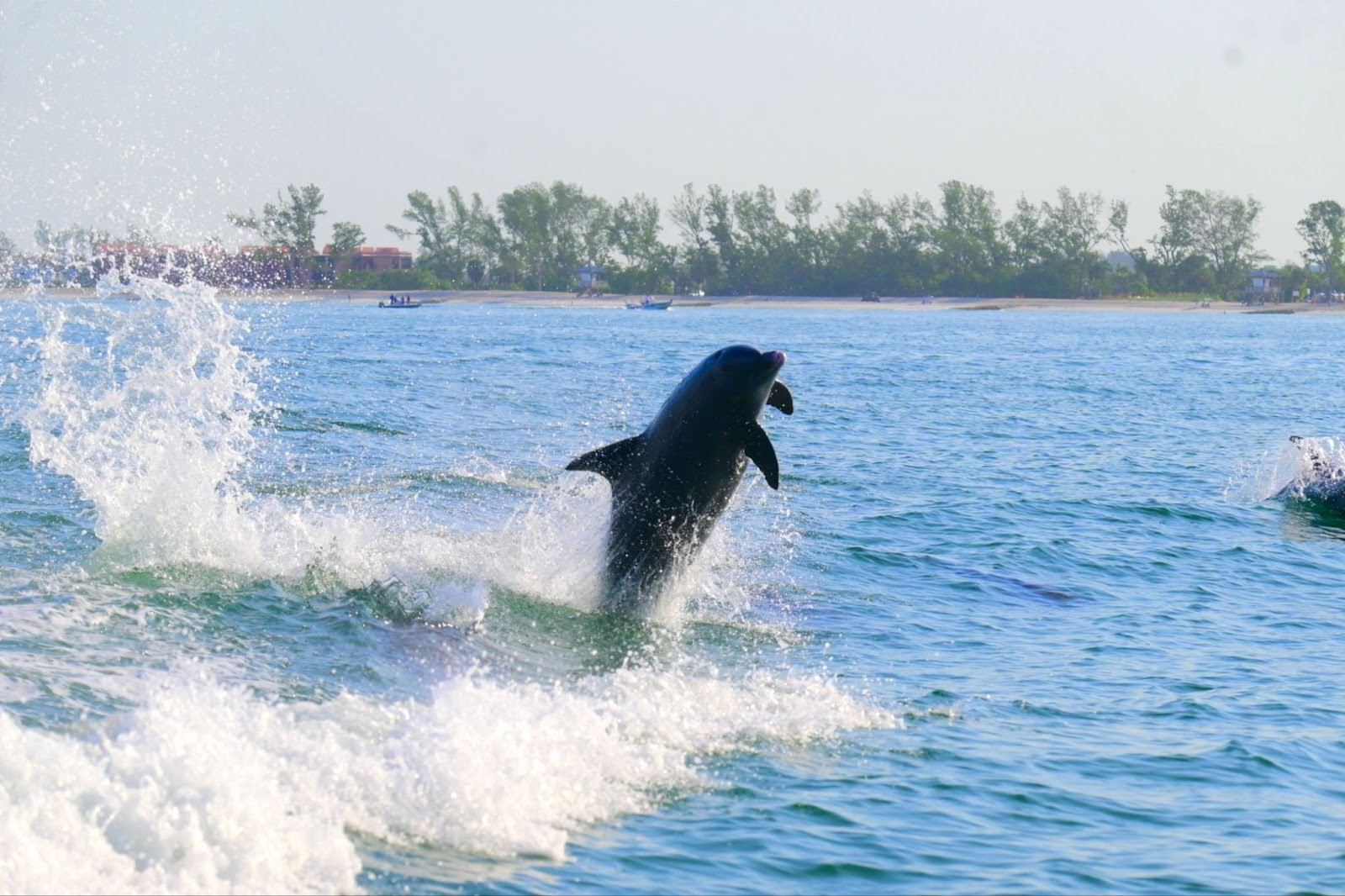 unnamed (46) a person riding a wave on top of a body of water