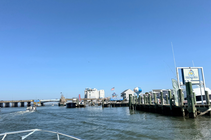 Boats on water near a marina with buildings and a bridge in the background under a clear blue sky.