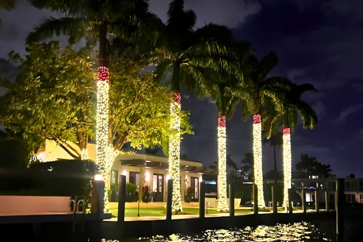Palm trees lit with fairy lights at night near a waterfront house.