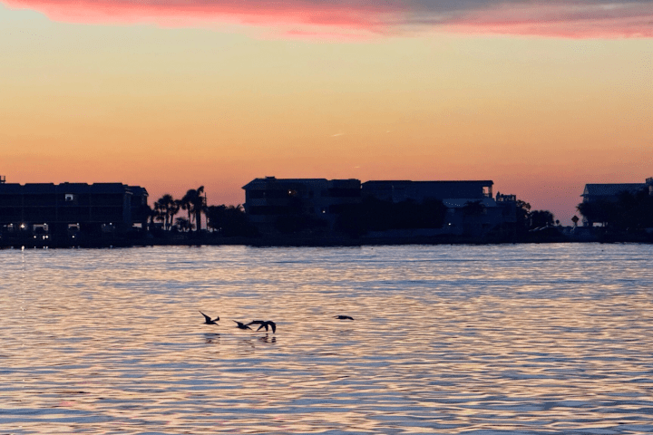 Sunset over water with silhouetted buildings and birds in flight.