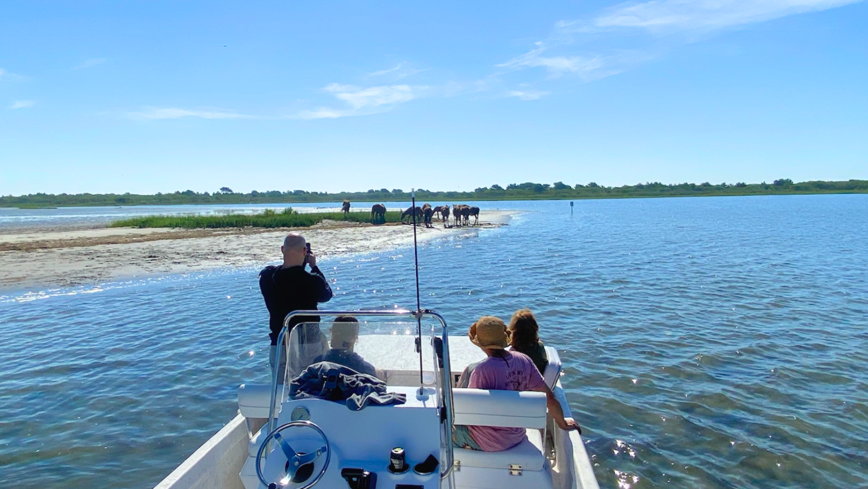 Private boat tour group watching wild ponies graze along the Assateague shoreline near Ocean City