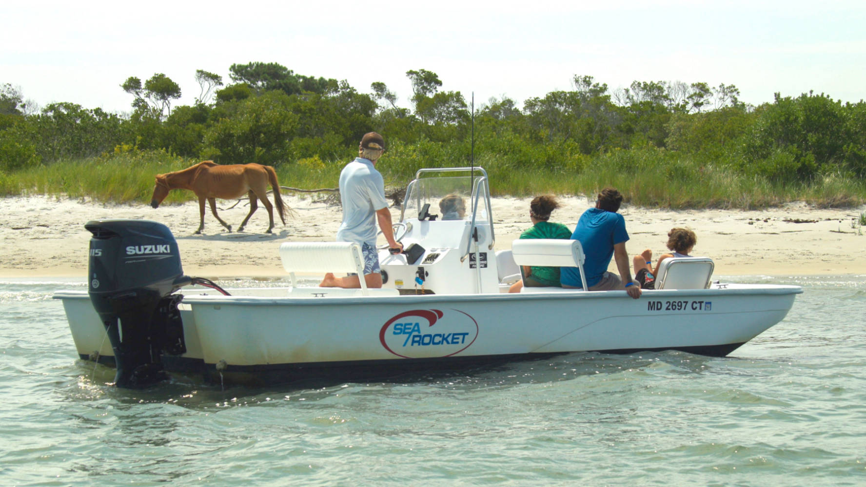 Boat with people near a beach, horse walking on shore.