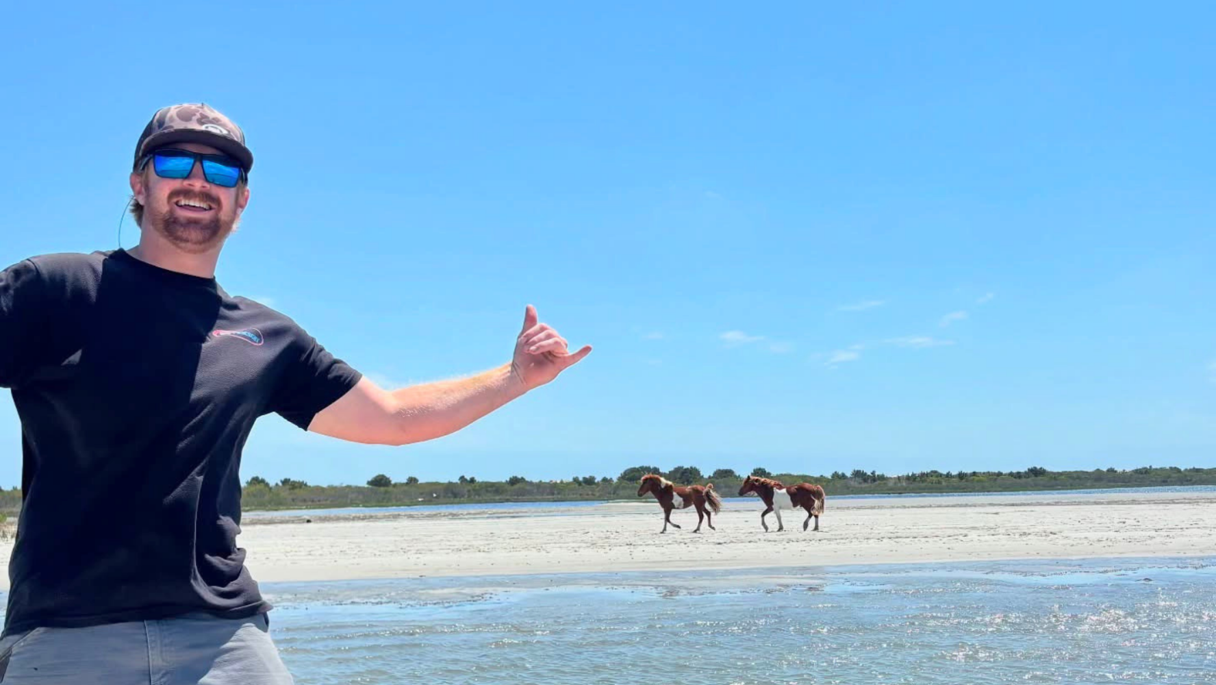 Wild ponies viewed from a private Sea Rocket cruise near Assateague Island