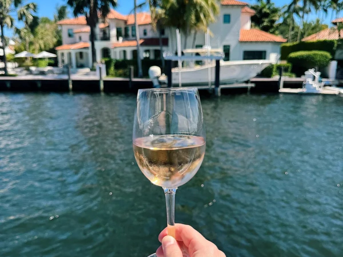 Hand holding wine glass on a boat with houses and palm trees in background.