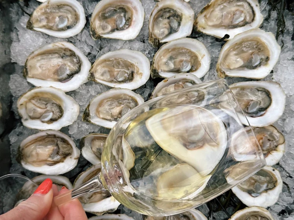 Person holding wine glass over tray of oysters on ice.