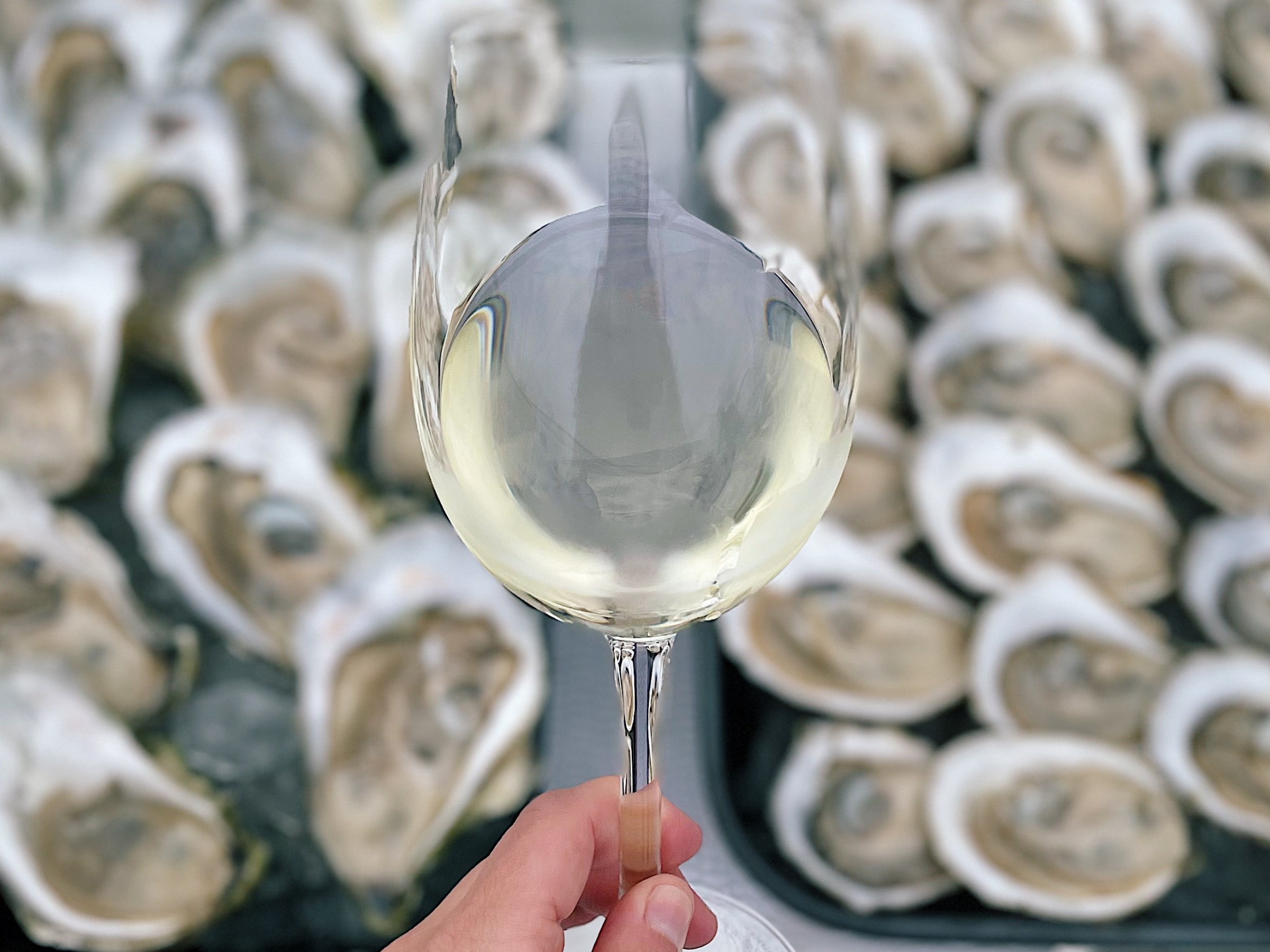 Hand holds wine glass over trays of oysters on ice.