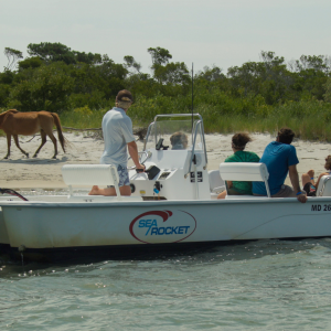 Small motorboat near shore with four people, horse in background on beach.
