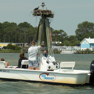 People on a boat observing a bird's nest on a pole in the water.